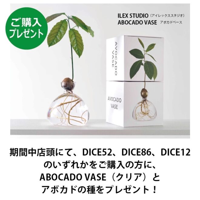 ABOCARD VASE アボカドベース