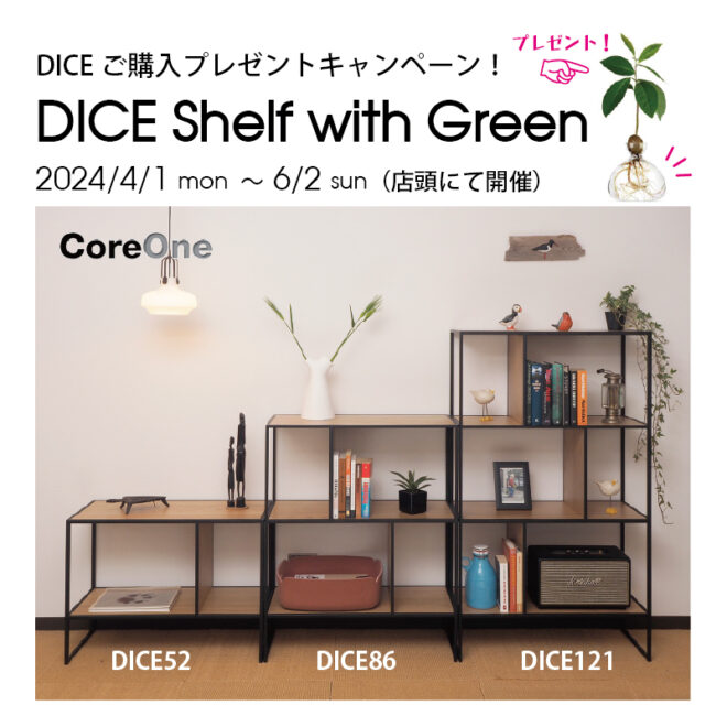 Dice Shelf With Green キャンペーン